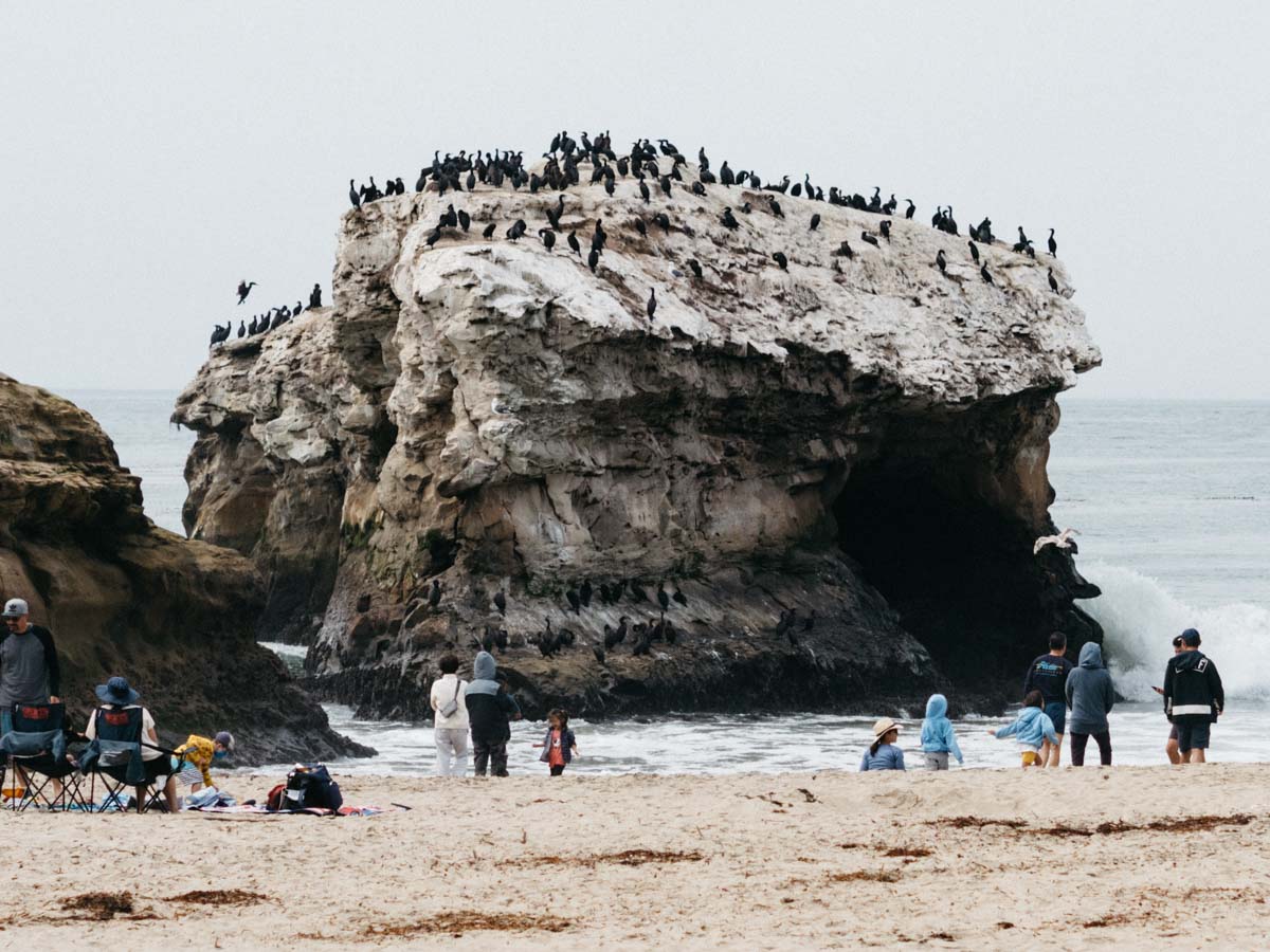 Natural Bridges State Beach | Santa Cruz, California | Carla Gabriel Garcia