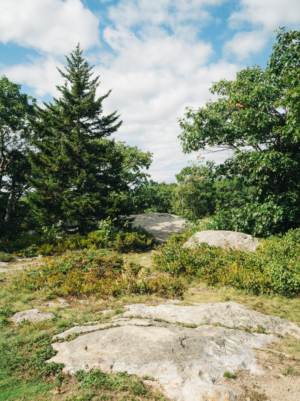 Terrain at Camden Hills State Park | Photography by Carla Gabriel Garcia