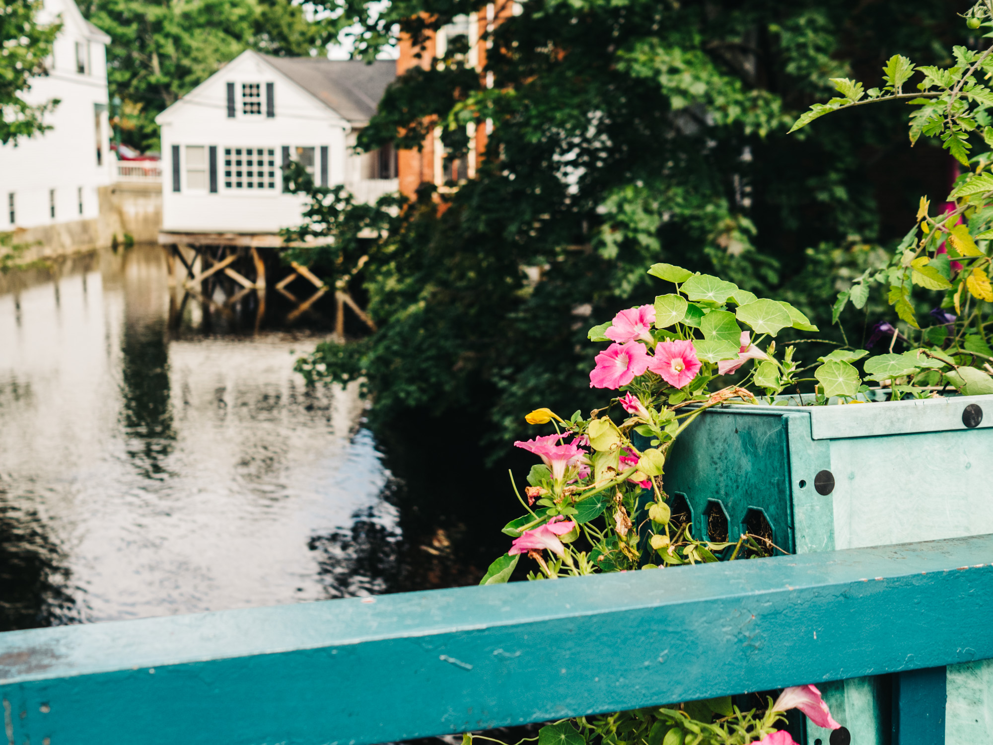 Camden River Footbridge | Maine | Photography by Carla Gabriel Garcia