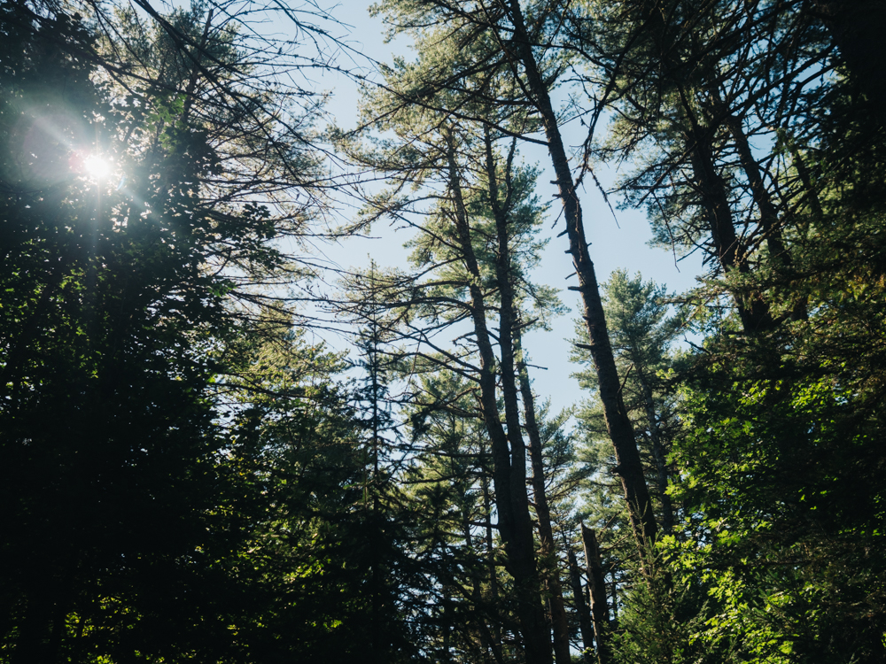 High noon | Fernald's Neck Preserve | Maine | Carla Gabriel Garcia