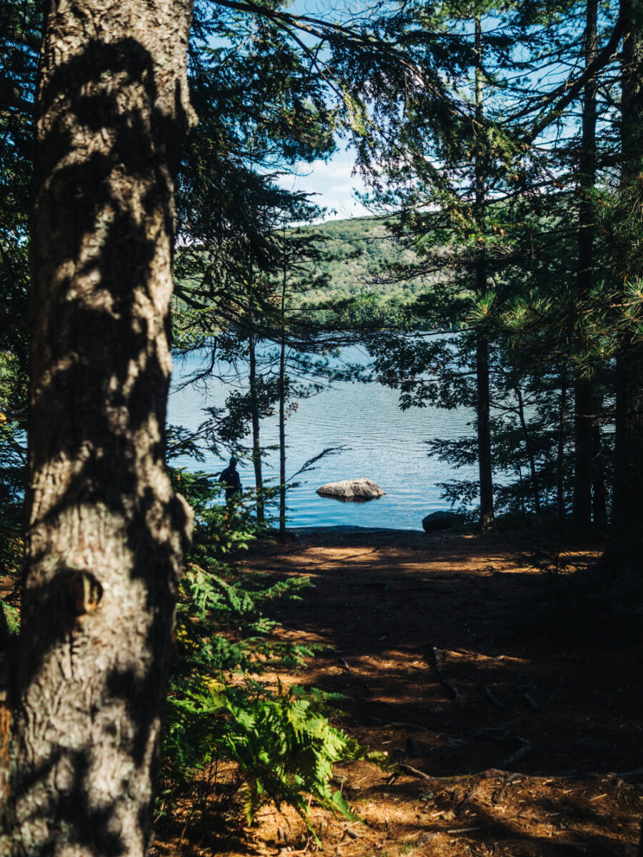 View of Lake Megunticook | Fernald's Neck Preserve | Maine | Carla Gabriel Garcia