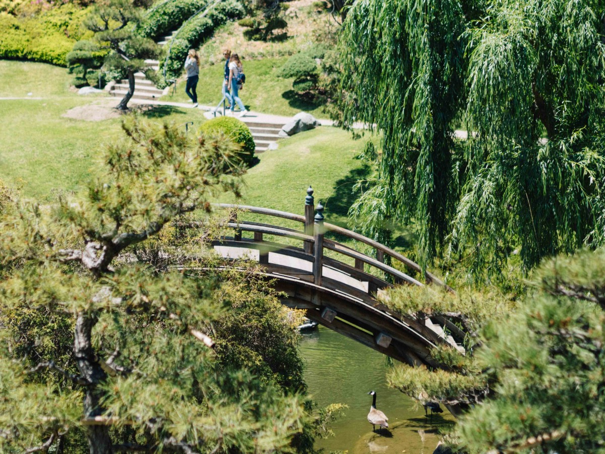 Japanese Garden Bridge at the Huntington Library | Carla Gabriel Garcia