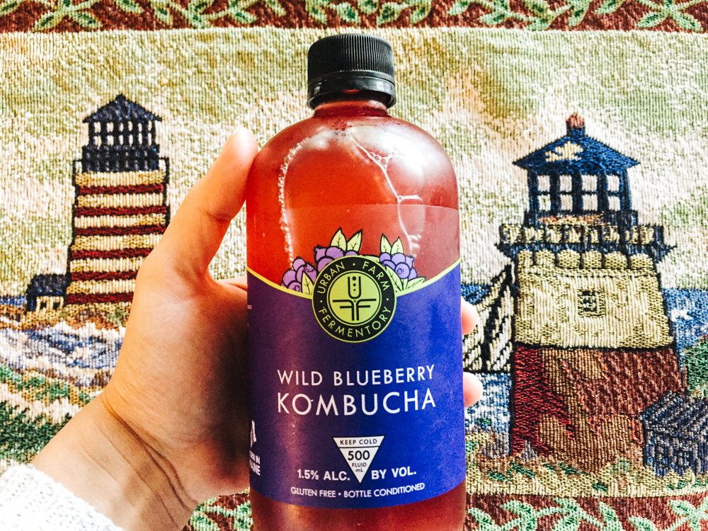 Kombucha with Maine blueberries | Photography by Carla Gabriel Garcia