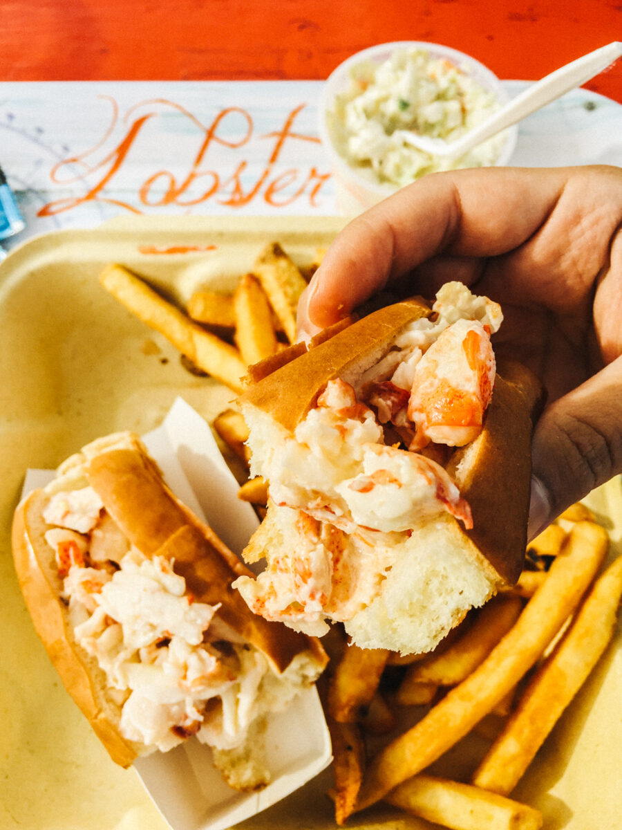 McLaughlin's Lobster Roll | Lincolnville, Maine | Photography by Carla Gabriel Garcia