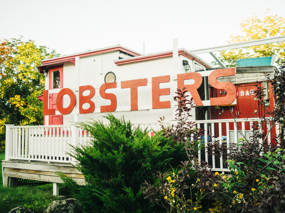 McLaughlin's Lobsters | Lincolnville, Maine | Photography by Carla Gabriel Garcia