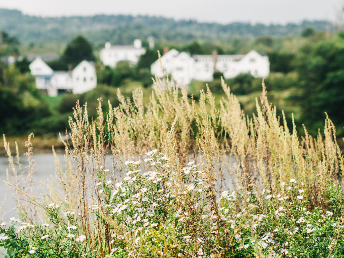 Murray Preserve houses | Lincolnville, Maine | Photography by Carla Gabriel Garcia