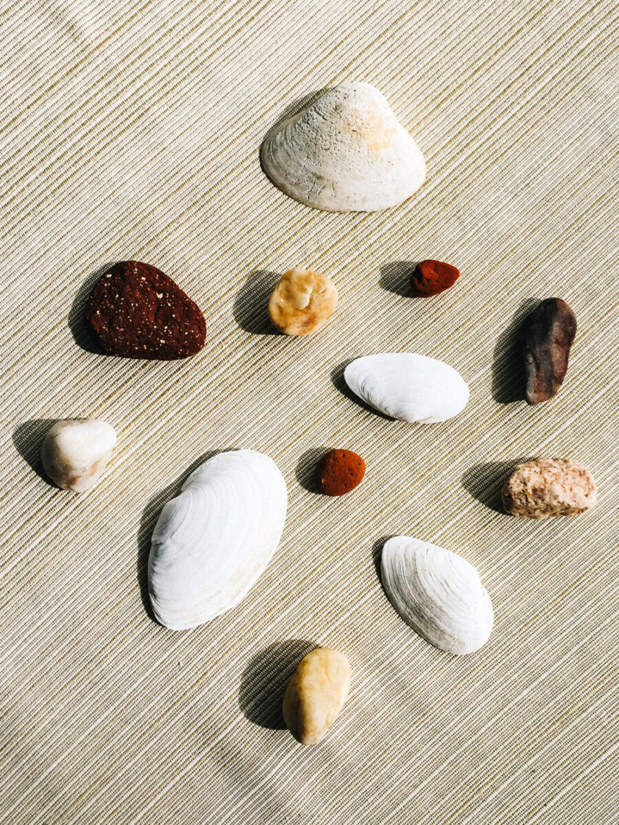 Murray Preserve rocks and shells | Lincolnville, Maine | Photography by Carla Gabriel Garcia