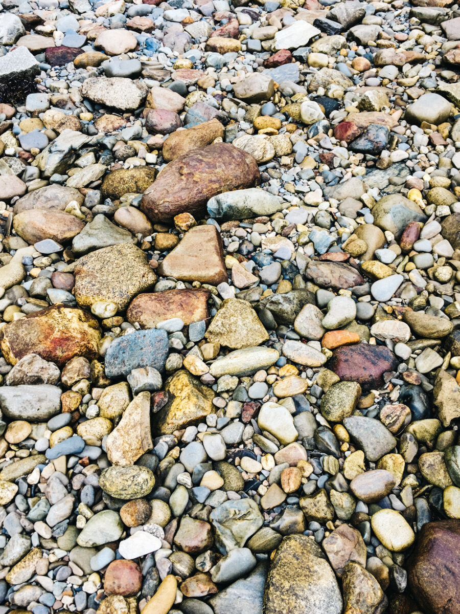 Murray Preserve rocky terrain | Lincolnville, Maine | Photography by Carla Gabriel Garcia