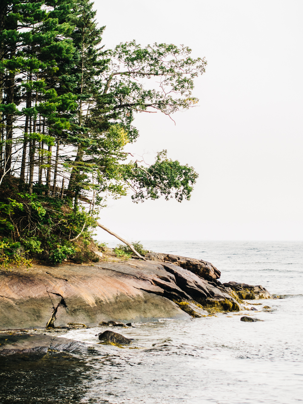 Murray Preserve | Lincolnville, Maine | Photography by Carla Gabriel Garcia