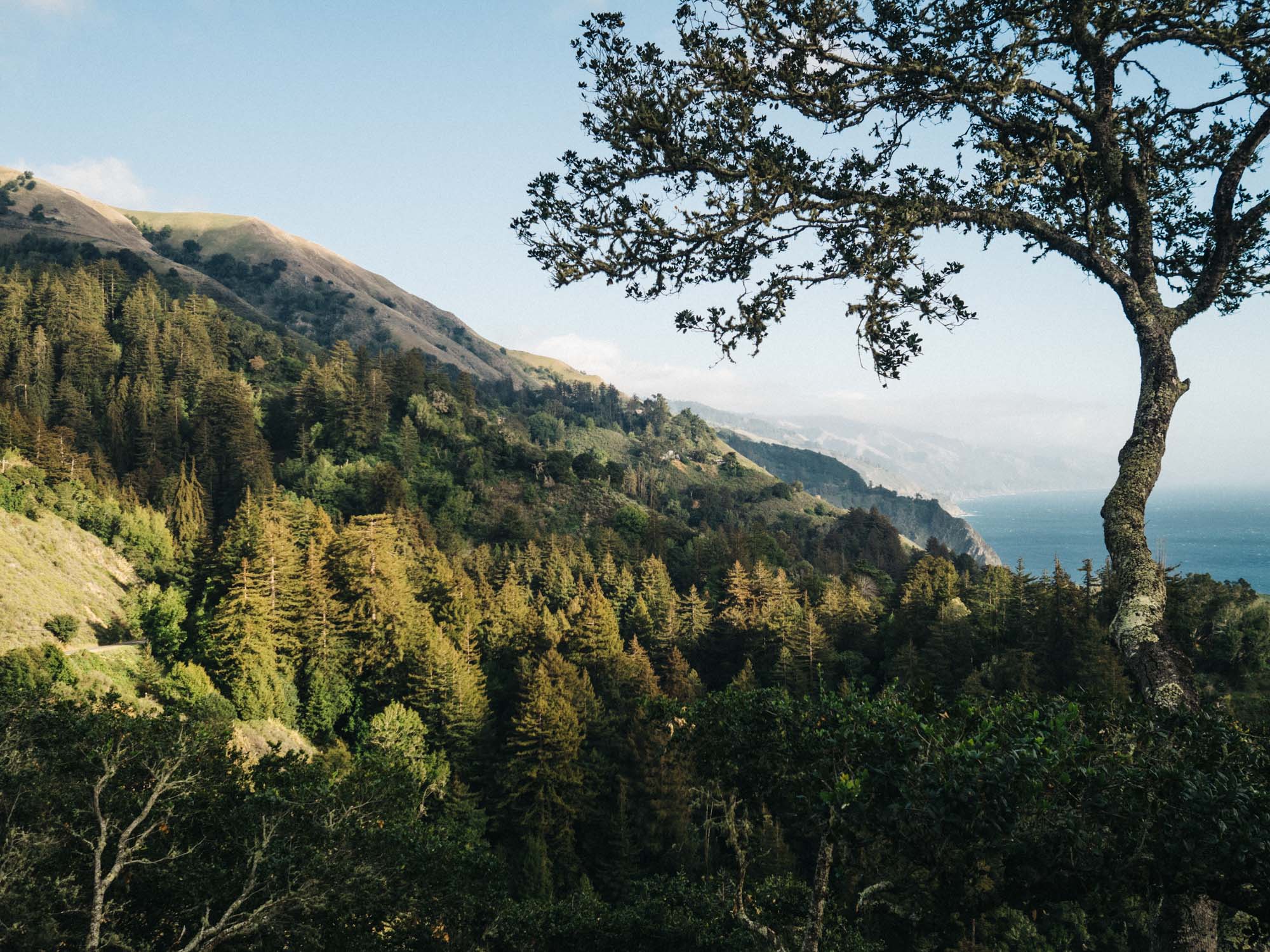 Ocean View at Nepenthe Big Sur | Photography by Carla Gabriel Garcia