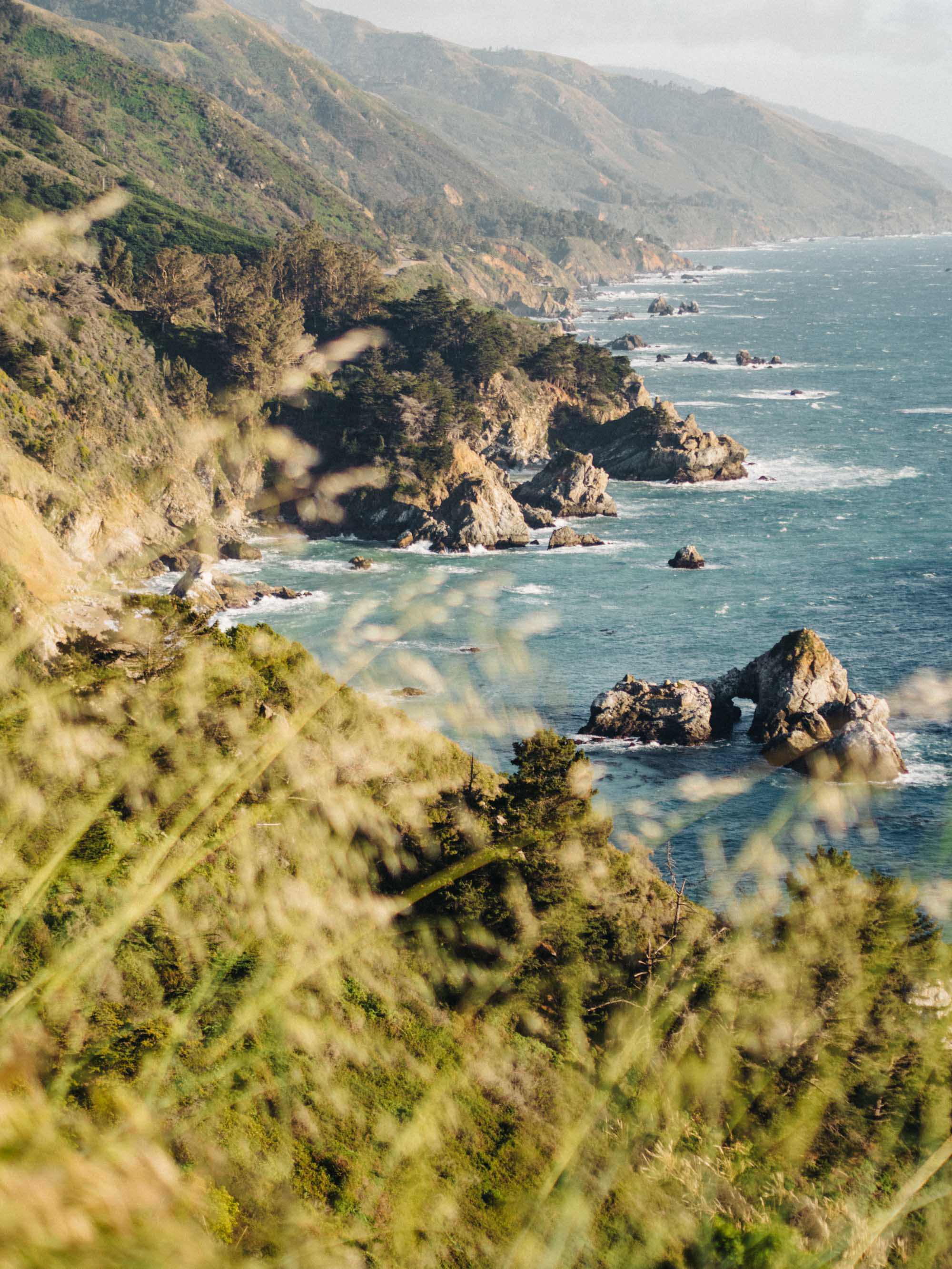 Pacific Coast Highway Rocky Beach Grass | Photography by Carla Gabriel Garcia