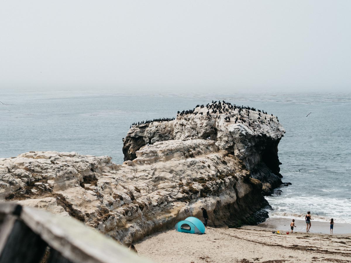 Natural Bridges State Beach | Santa Cruz, California | Carla Gabriel Garcia