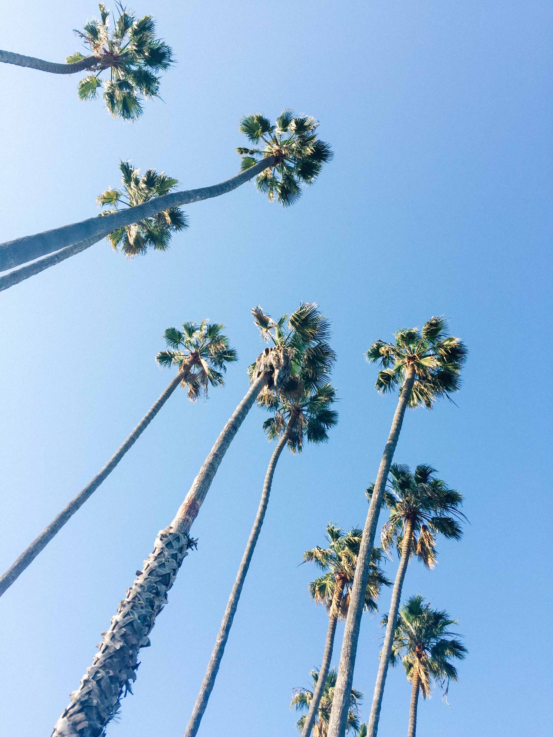 A Weekend Getaway to L.A.