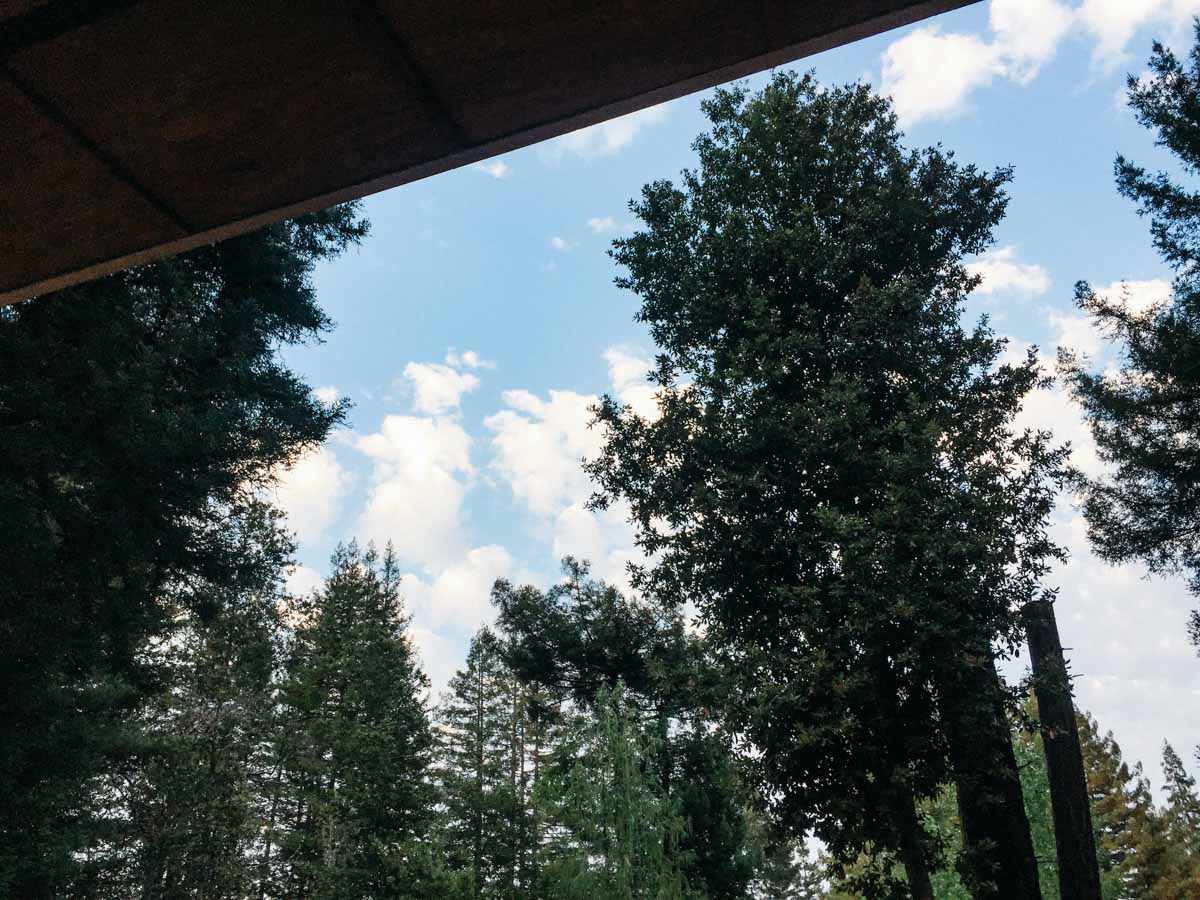 Skygazing from the cabin deck | Ben Lomond, California | Carla Gabriel Garcia