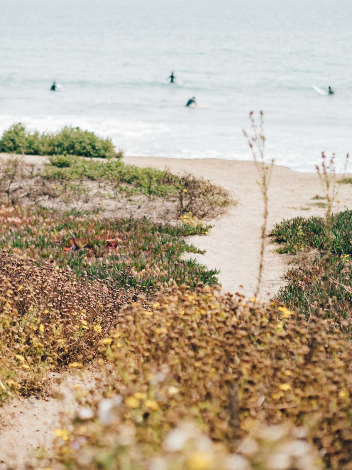 Surfer's Beach | Half Moon Bay, California | Carla Gabriel Garcia