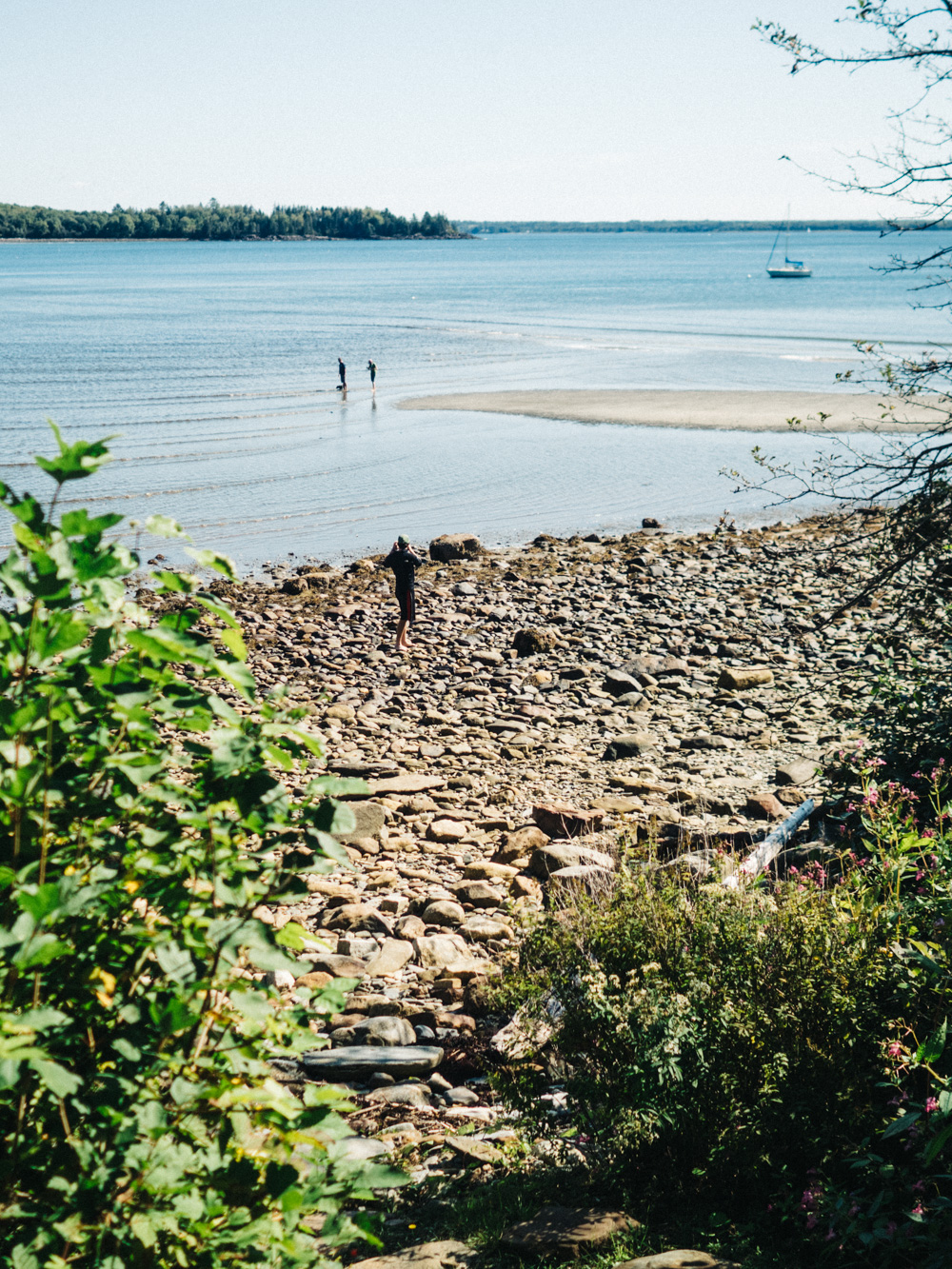 Trail to the Sandbar | Maine | Photography by Carla Gabriel Garcia