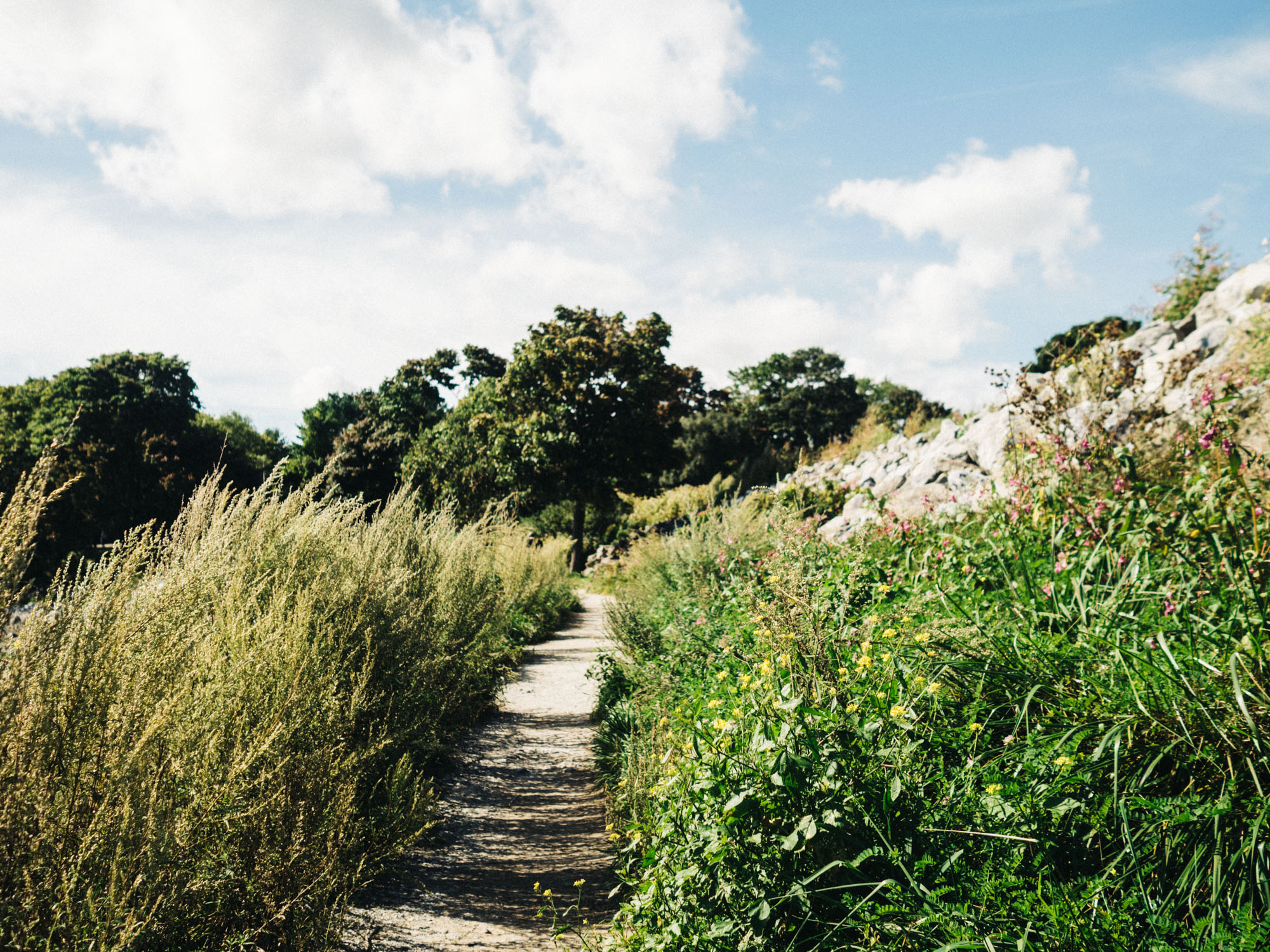 Path to Rockland Breakwater Lighthouse Trail | Photography by Carla Gabriel Garcia