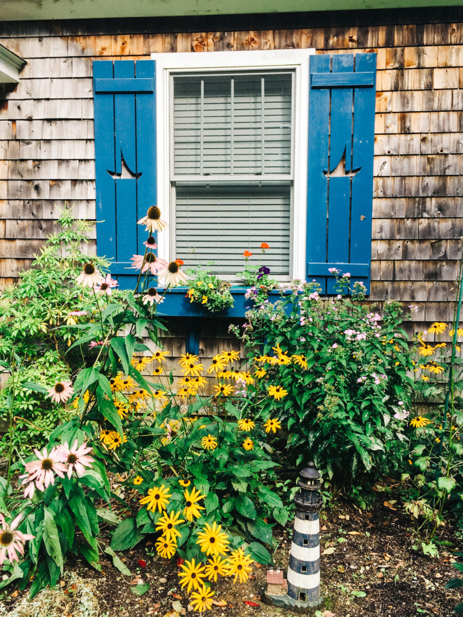 Beach House Window Flowers | Photography by Carla Gabriel Garcia